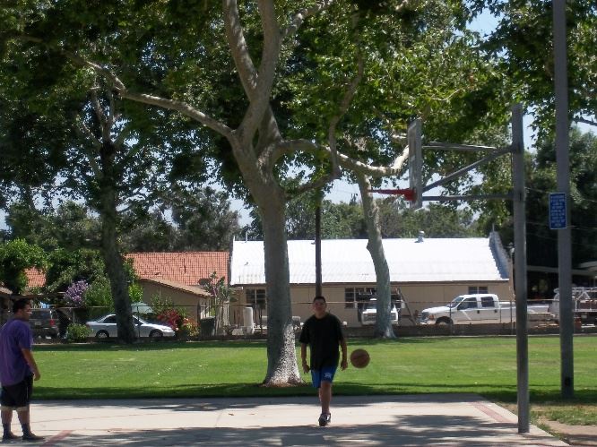 Basketball Court and Open Space