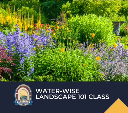 Water-Wise Landscape 101 Class