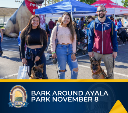 Bark Around Ayala Park