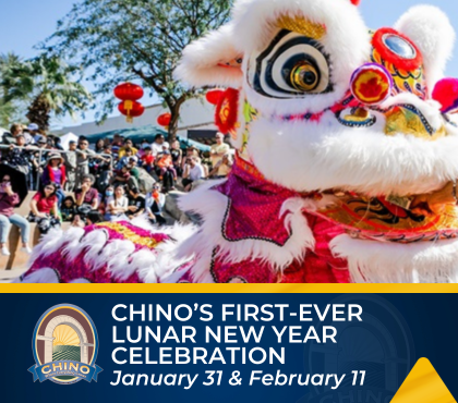 Lunar New Year graphic