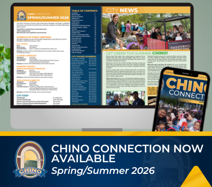 Chino Connection Now Available Spring/Summer 2026
