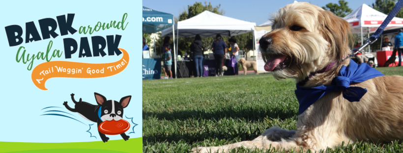 Bark Around Ayala Park